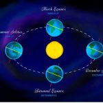 The Fascinating Life Cycle of Star 923 – Explained